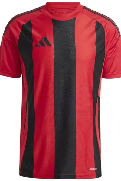 Adidas Striped 24 JSY M T-shirt IW4556